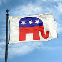 Republican Flag, DFREPU35
