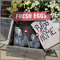 Farm Fresh Decor