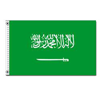 Saudi Arabia Economy Polyester Flag (3 ft. x 5 ft.), FSAUD35P