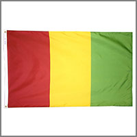 Guinea Flags