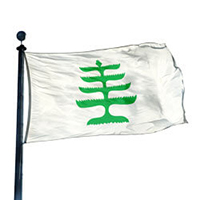 Pine Tree flag, HPINE35
