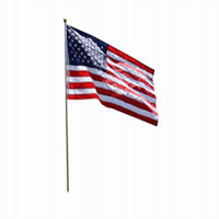 8 ft. Portable Silver Aluminum Flagpole Kit with Lawn Socket, KPOLE10S