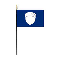Treasurer Officer's Miniature Flag, MNTREA46
