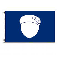 Treasurer Officer's Flag, NTREA1218