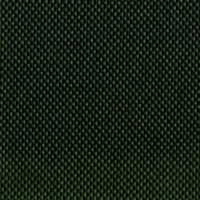 Dartmouth Green Nylon Fabric, FBPP0000013705