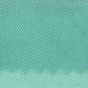 Seafoam Green Nylon Fabric, FBPP0000013712
