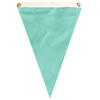 Nylon Aqua Single Pennant