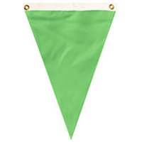 Nylon Mint Green Single Pennant