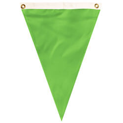 Nylon Scarab Green Single Pennant, FBPP0000012112