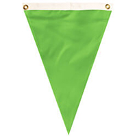 Nylon Scarab Green Single Pennant