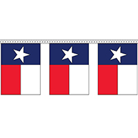 Texas String Pennants