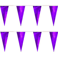 Purple String Pennants, PENNSCR6PU