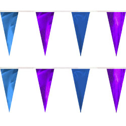 Purple Blue String Pennants, PENNSCR6Q