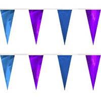 Purple Blue String Pennants, PENNSCR6Q