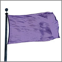 Color Flags with Purples & Pinks