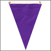 Single Pennants with Purples & Pinks