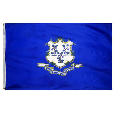 Connecticut Flag, SCT35