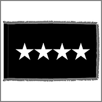 Space Force General Flags & Kits