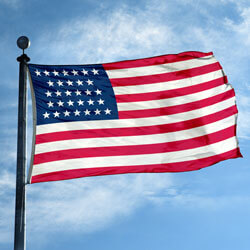 US 31-Star Flag (1851-1858), FBPP0000012730