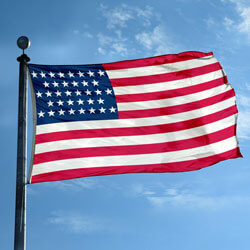 US 36-star flag (1865-1867), FBPP0000012735