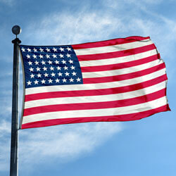 US 44-Star Flag (1891-1896), FBPP0000012739