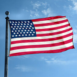 US 49-Star Flag (1959-1960), FBPP0000012743