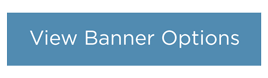 View Custom Banner Options