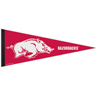 University Arkansas Stadium Pennant, WINC73031091